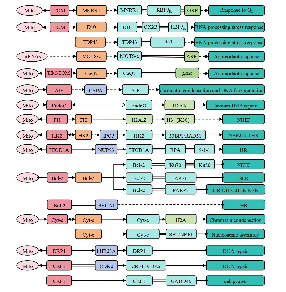 Description of the image